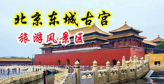 肏美女屄性爱影片www.....在线欣赏www....中国北京-东城古宫旅游风景区