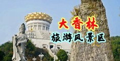 免费操逼视频网战中国浙江-绍兴大香林旅游风景区